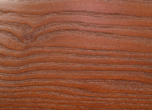 вишня Т-15 вишня Т-15